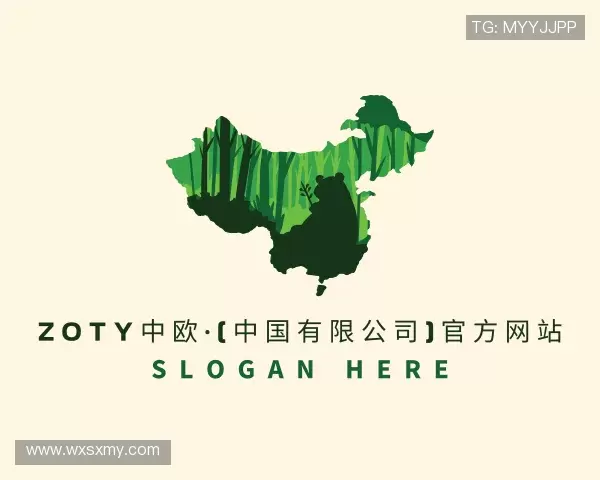 发现zoty中欧